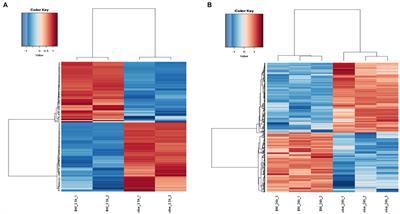 Transcriptomics of Listeria monocytogenes Treated With Olive Leaf Extract